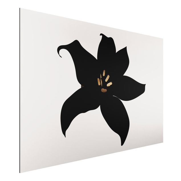 Wandbilder Grafische Pflanzenwelt - Orchidee Schwarz und Gold