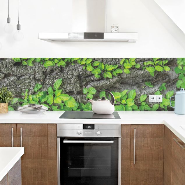 Küchenrückwand Wald Efeuranken Baumrinde