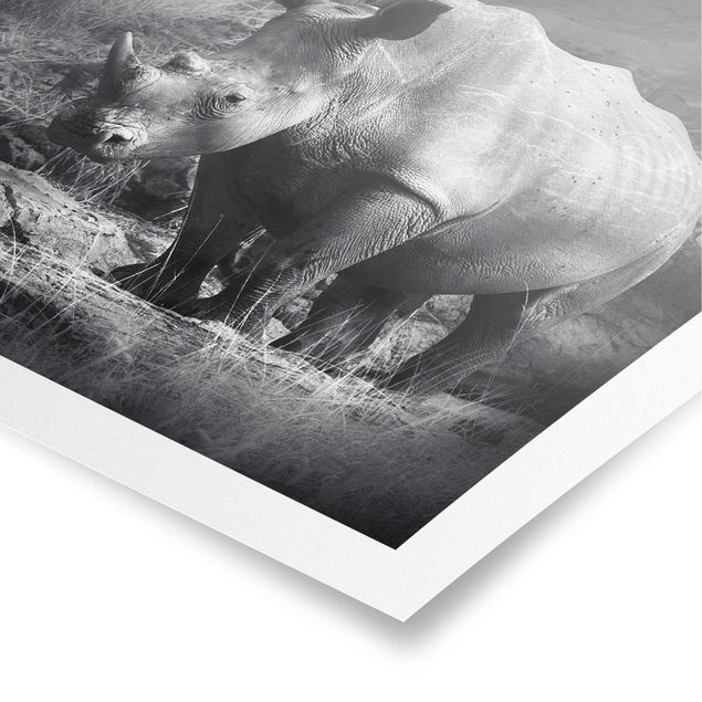 Poster - Lonesome Rhinoceros - Quadrat 1:1