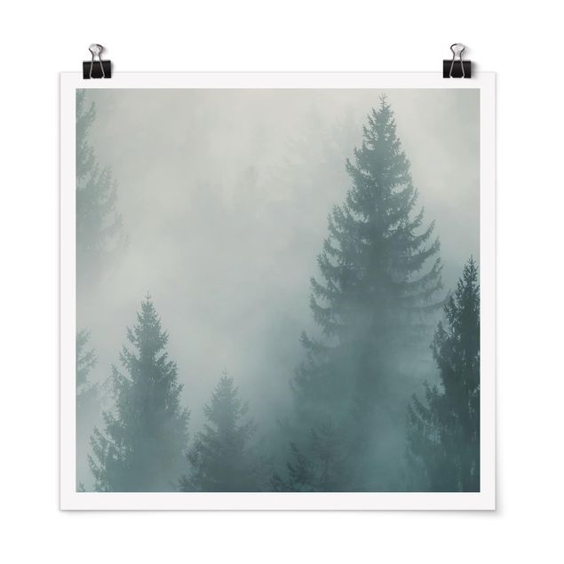 Poster bestellen Nadelwald im Nebel