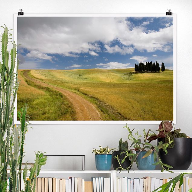 Poster Landschaft Zypressen in der Toskana