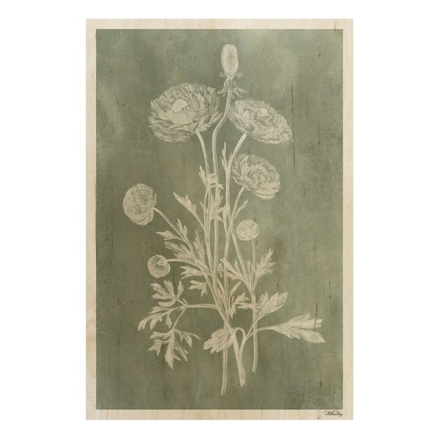 Holzbilder Blumen Vintage Illustration Salbei