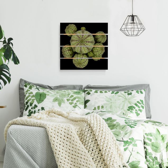 Moderne Holzbilder Euphorbia - Seeigelwolfsmilch