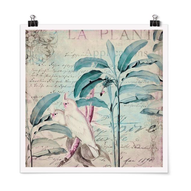 Blumenposter Colonial Style Collage - Kakadus und Palmen