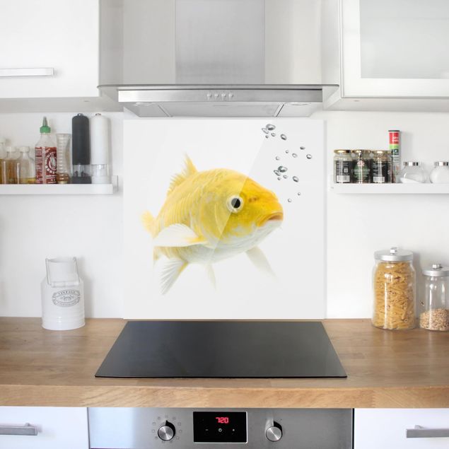 Küchenspritzschutz Goldfisch Gelb