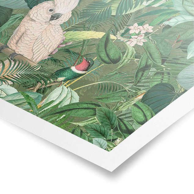 Wandbilder Vintage Collage - Kakadu und Kolibri