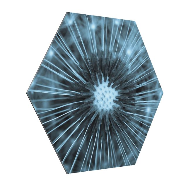 Hexagon Bild Alu-Dibond - Blau getönte Pusteblume