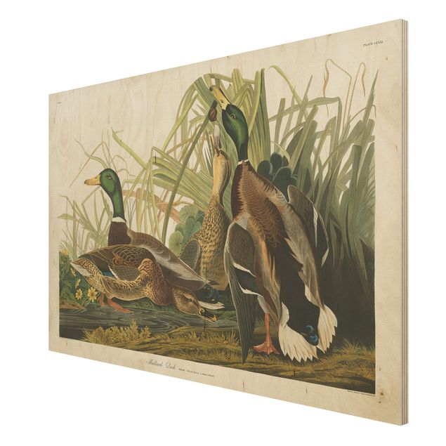 Wandbild Holz Vintage Lehrtafel Enten