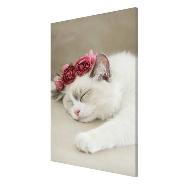 Magnettafel Tiere Schlafende Katze mit Rosen