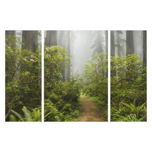 Bilder für die Wand Nebliger Waldpfad