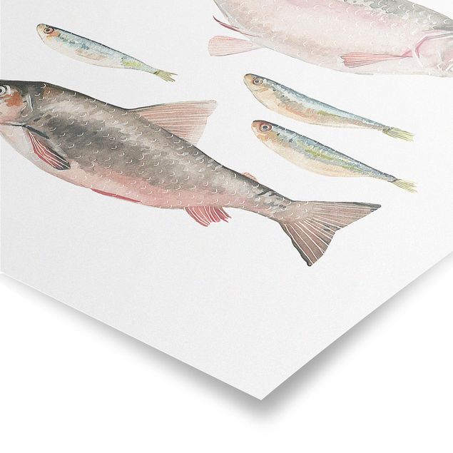 Bilder für die Wand Sieben Fische in Aquarell I