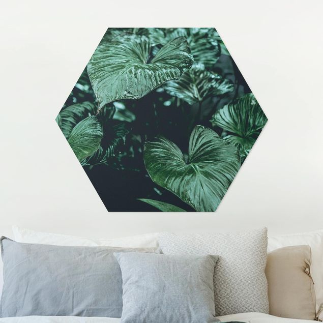 Wandbilder Tropische Pflanzen I