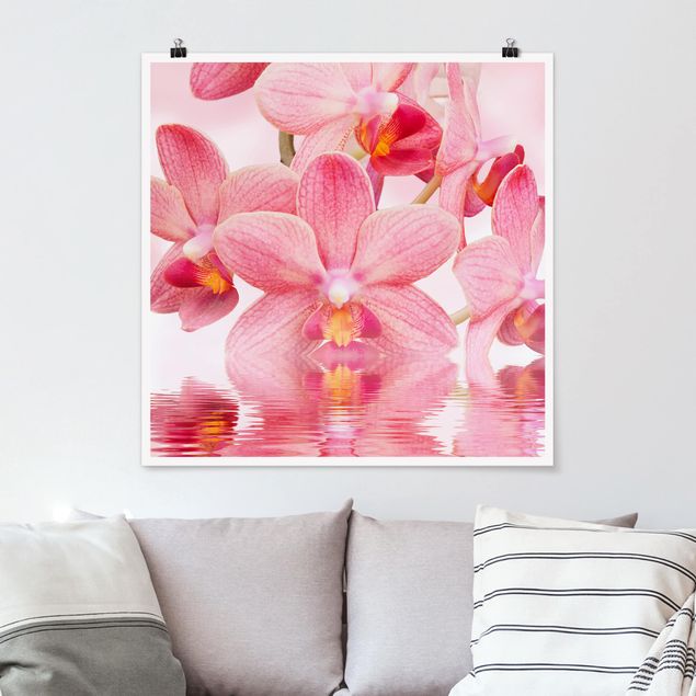 Bilder für die Wand Rosa Orchideen auf Wasser