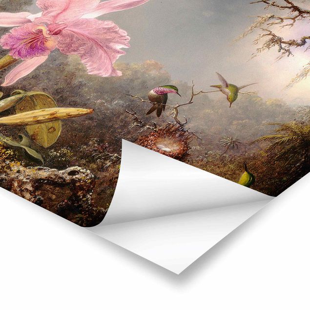 Poster bestellen Martin Johnson Heade - Orchidee und drei Kolibris