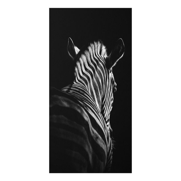 Foto auf Hartschaumplatte Dunkle Zebra Silhouette