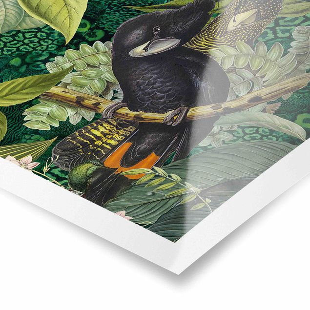 Poster bestellen Bunte Collage - Kakadus im Dschungel