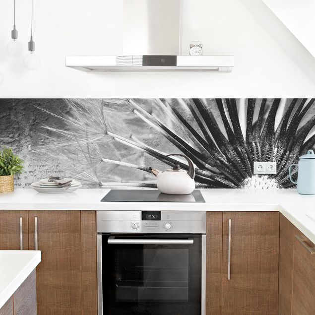 Küchenrückwand Glas Motiv Blumen Pusteblume Schwarz & Weiß