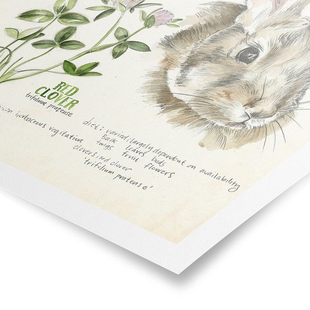 Tiere Poster Wildnis Journal - Kaninchen