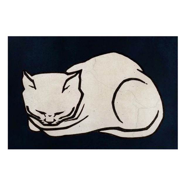 Magnettafel Büro Schlafende Katze Illustration