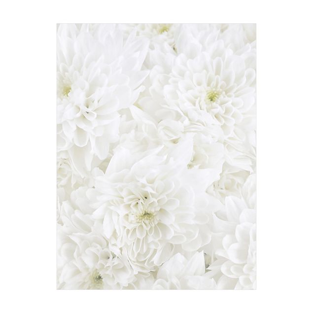 Teppich Blumen Dahlien Blumenmeer weiß