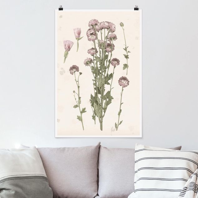 Kunstdrucke Poster Herbarium in rosa I