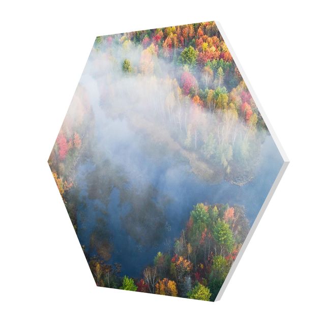 Hexagon Bild Forex - Luftbild - Herbst Symphonie
