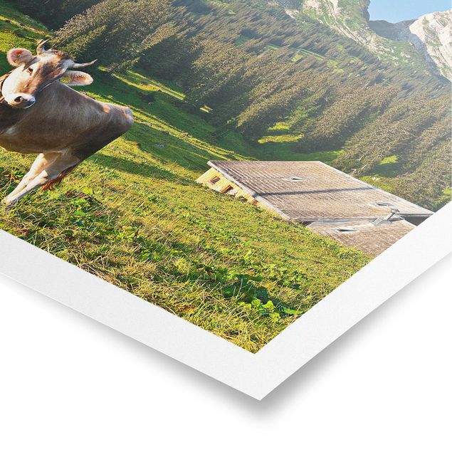 Schöne Wandbilder Schweizer Almwiese mit Kuh