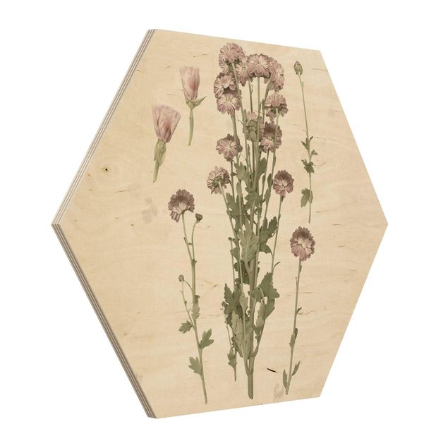 Holzbilder Herbarium in rosa I