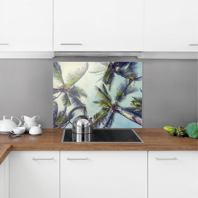 Küchenrückwand Glas Motiv Blumen Die Palmen