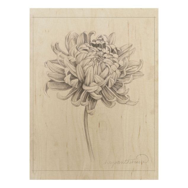 Holzbilder mit Blumen Botanische Studie Chrysantheme I