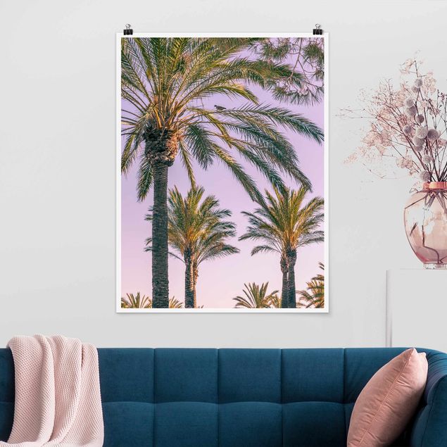 Blumen Poster Palmen im Sonnenuntergang