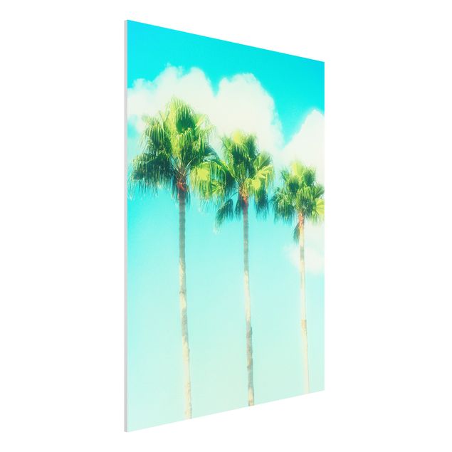Foto auf Hartschaumplatte Palmen vor Himmel Blau