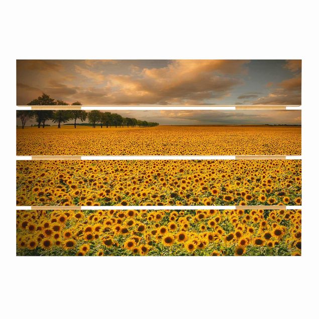 Holzbilder Feld mit Sonnenblumen