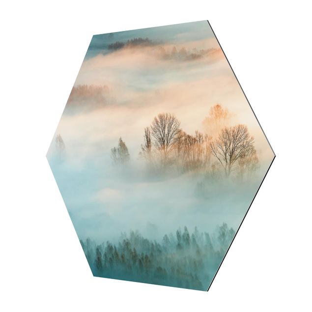 Hexagon Bild Alu-Dibond - Nebel bei Sonnenaufgang