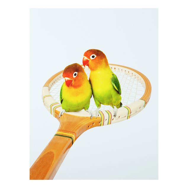 Foto auf Hartschaumplatte Tennis mit Vögeln