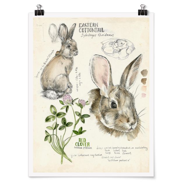 Poster Blumen Wildnis Journal - Kaninchen