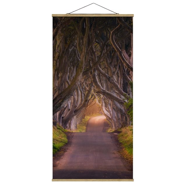 Stoffbild mit Posterleisten - Tunnel aus Bäumen - Hochformat 1:2