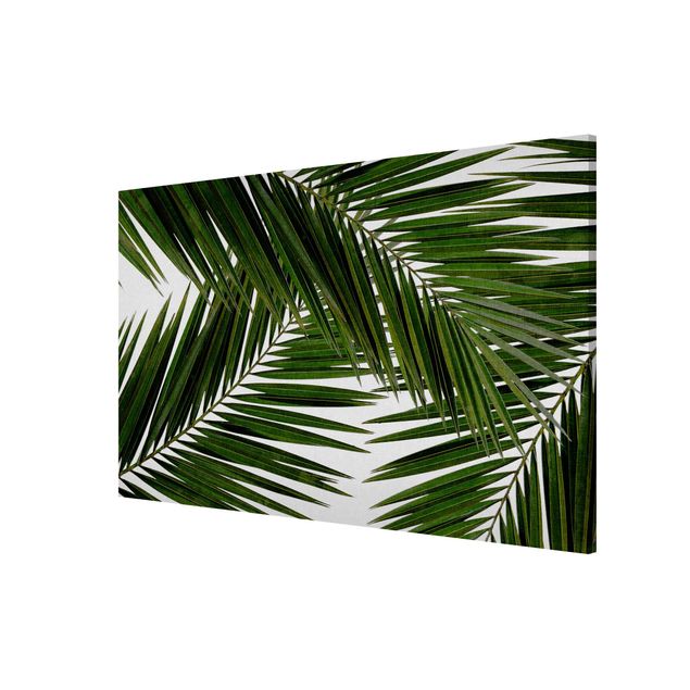 Wandbilder Blick durch grüne Palmenblätter