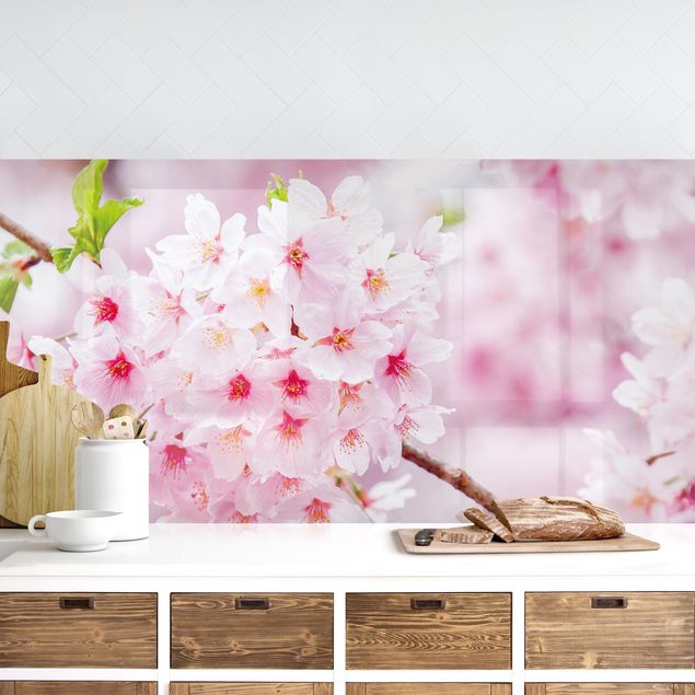 Küchenrückwände Platte Japanische Kirschblüten