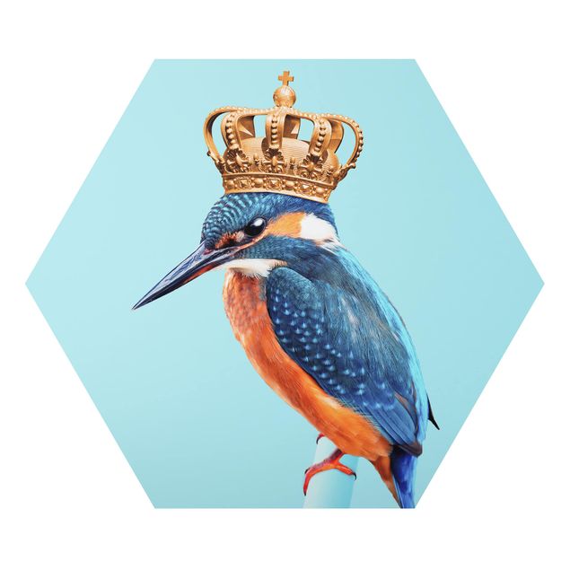 Hexagon Bild Alu-Dibond - Jonas Loose - Eisvogel mit Krone