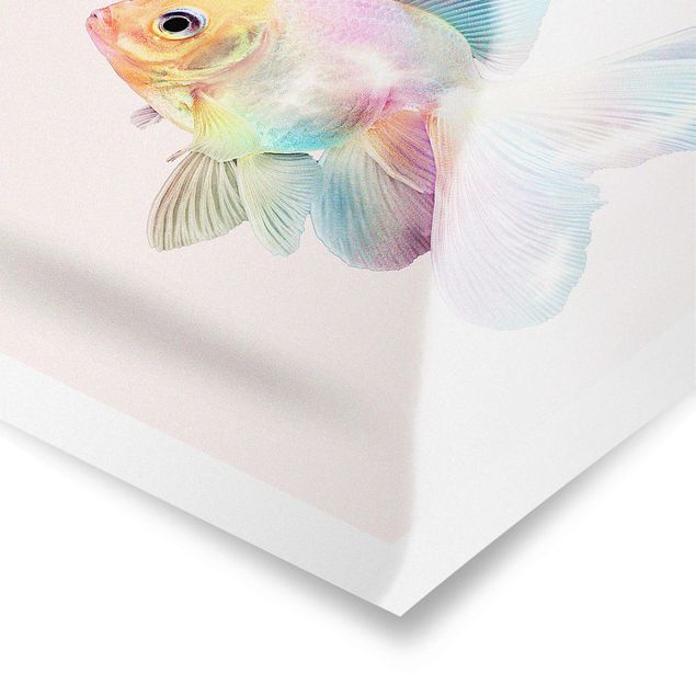Poster bestellen Fisch in Pastell