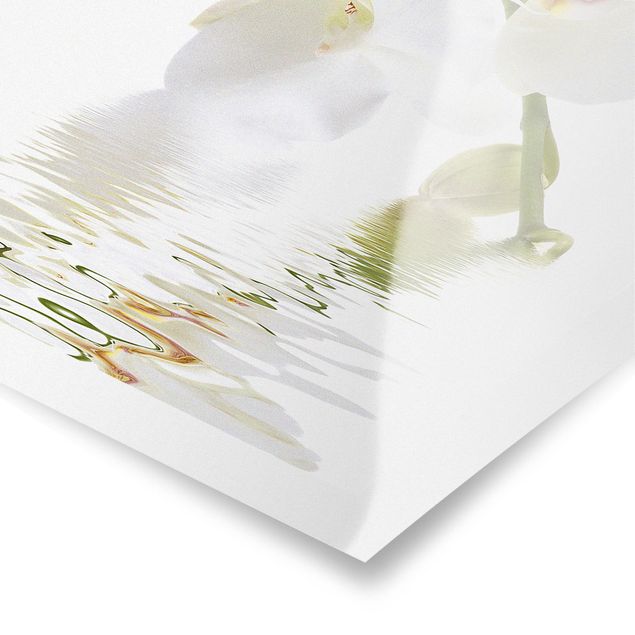 Poster - White Orchid Waters - Hochformat 3:2