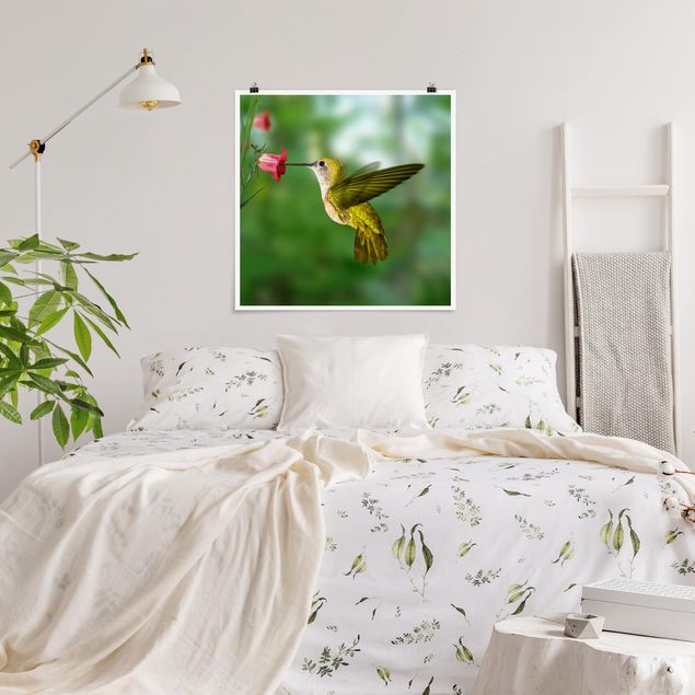 Wandbilder Tiere Kolibri und Blüte