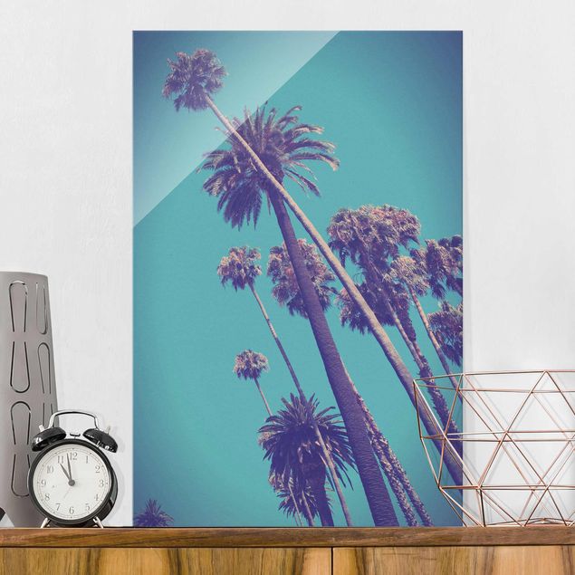 XXL Glasbilder Tropische Pflanzen Palmen und Himmel