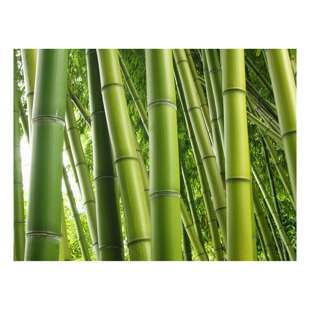 Bilder für die Wand Bamboo Trees No.1