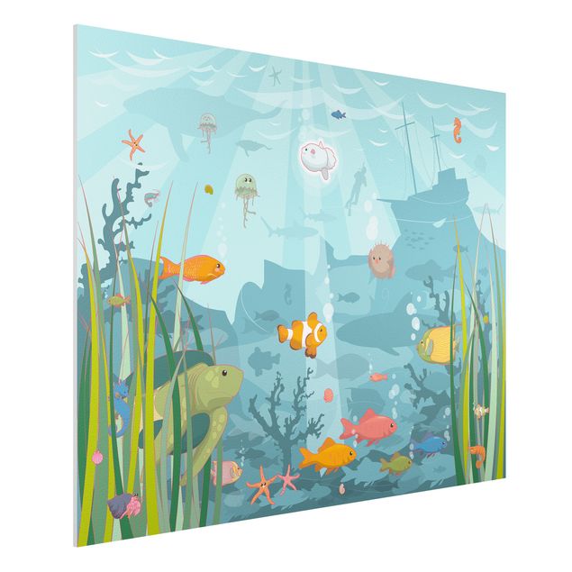 Wandbilder Tiere Meereslandschaft