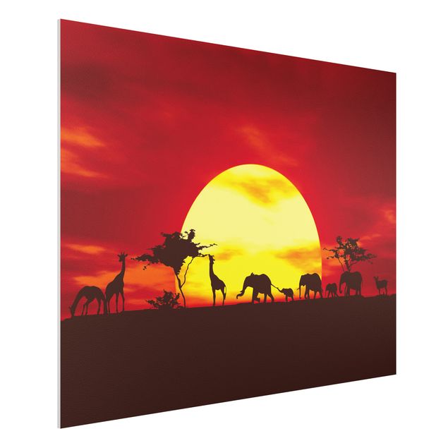 Wandbilder Tiere Sunset Caravan