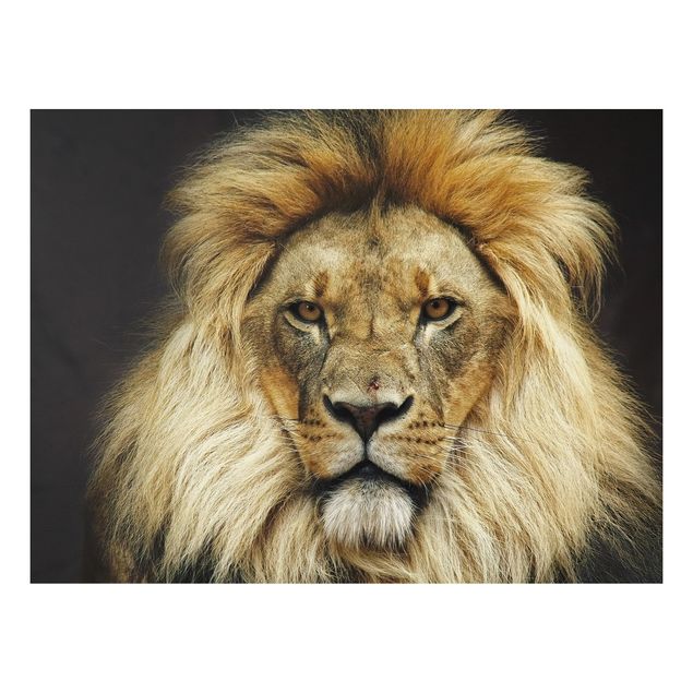 Forex Bilder Wisdom of Lion