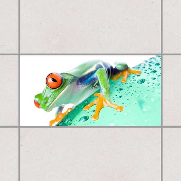 Fliesensticker grün Frog