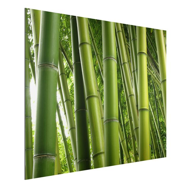 Wandbilder Bamboo Trees No.1